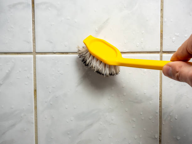 Best Certified Mold Removal  in Kuna, ID