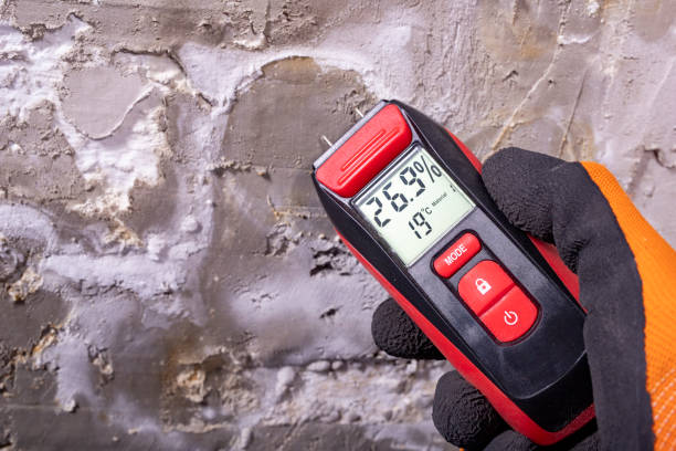 Best Mold Remediation Experts  in Kuna, ID
