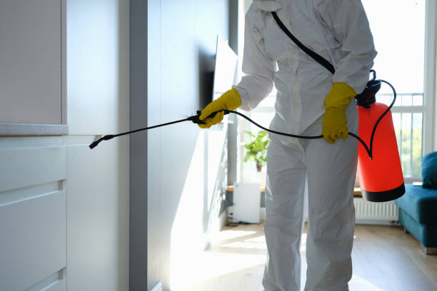 Mold Testing and Removal in Kuna, ID